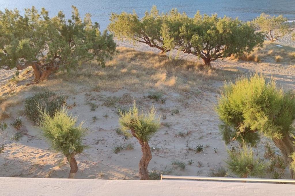 Aegean Dream House Villa Kamares  ภายนอก รูปภาพ